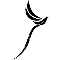 Citingale logo